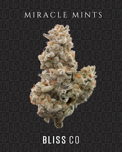 Bliss Co. - Flower | Buds | Bliss Co. | Miracle Mints | 3.5g
