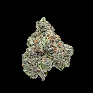 SOCIETY C - Project Z (Pre-Packed 1G)