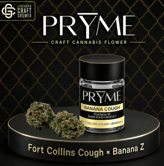 PrYme - Banana Cough Flower - 1g Main Image
