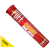 PUFF | Lemon Cherry Gelato | Preroll | 1g ​