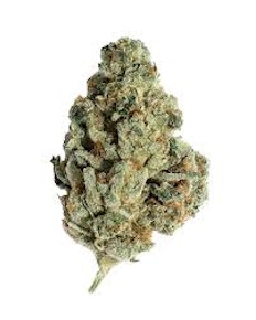 Buds - Puffo Gelato