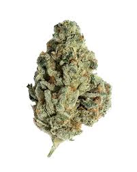 Common Citizen - Buds - Puffo Gelato Main Image