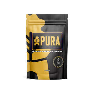 PURA - Pura | Flower | Rainbow Sherbert #11 | 28g