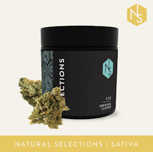 HEADLINERS - Pura Vida | 3.5g | TAXES INCLUDED