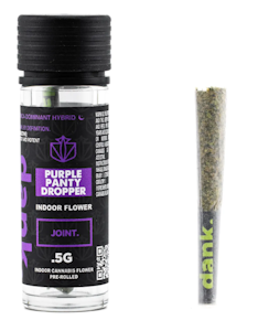 DANK BY DEFINITION - Purple Panty Dropper .5G Pre-Roll Dank