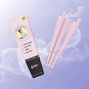 BLAZY SUSAN - Blazy Susan Purple 1 1/4 cones- 6 pack