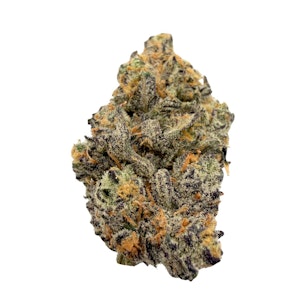 MIDNIGHT FRUIT COMPANY - Purple Hazelope, Indoor
