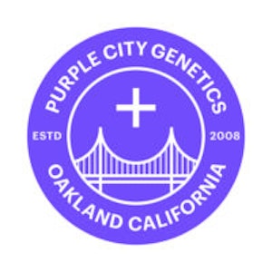 Purple City Genetics - Purple City Genetics - Seeds Local - Cel Ray - 6 Pack