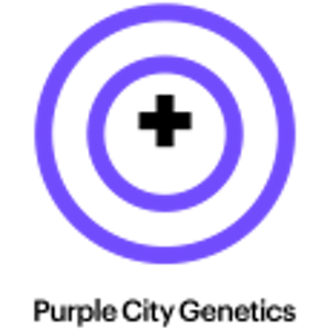 PURPLE CITY GENETICS - Purple City Genetics Seeds 6pk | Daily Operation