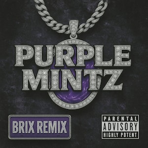 BRIX - Purple Mintz 1g Pre Roll (I) 00265