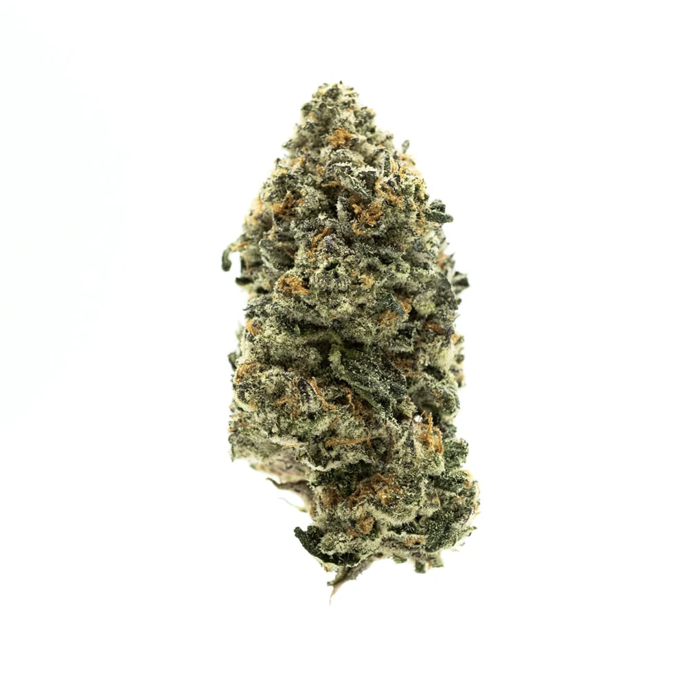 AGL - AGL 3.5g Purple Tyde (I) 00552 Main Image