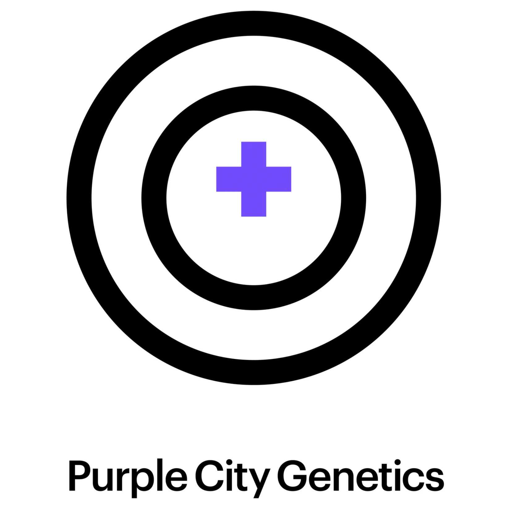 Purple City Genetics - Purple City Genetics - 3pk Auto Flower Seeds - Date Palm Main Image