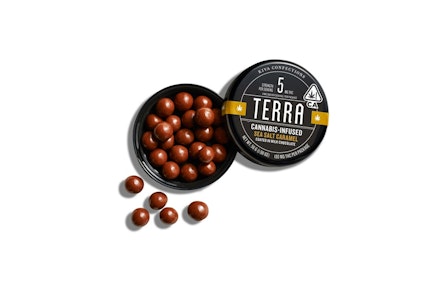 TERRA BITES MILK CHOCOLATE SEA SALT CARAMEL - 100MG