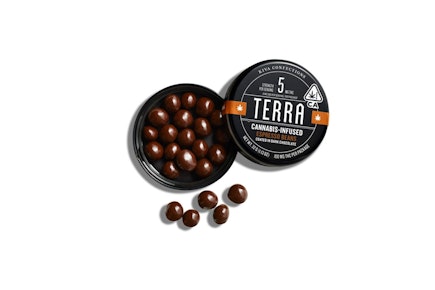 TERRA BITES DARK CHOCOLATE ESPRESSO BEANS - 100MG