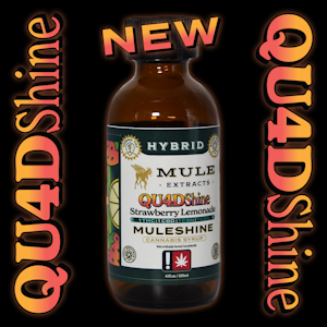 MULE EXTRACTS - Straw Lemonade 1:1:1:1 THC:CBD:CBN:CBG, 4oz
