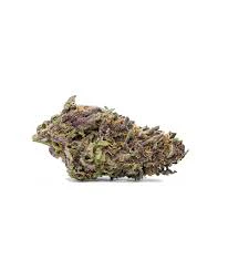 NATURE'S MEDICINE - Buds - Quick Piss Main Image