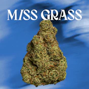OG GMO - Quiet Times - 3.5g 42144