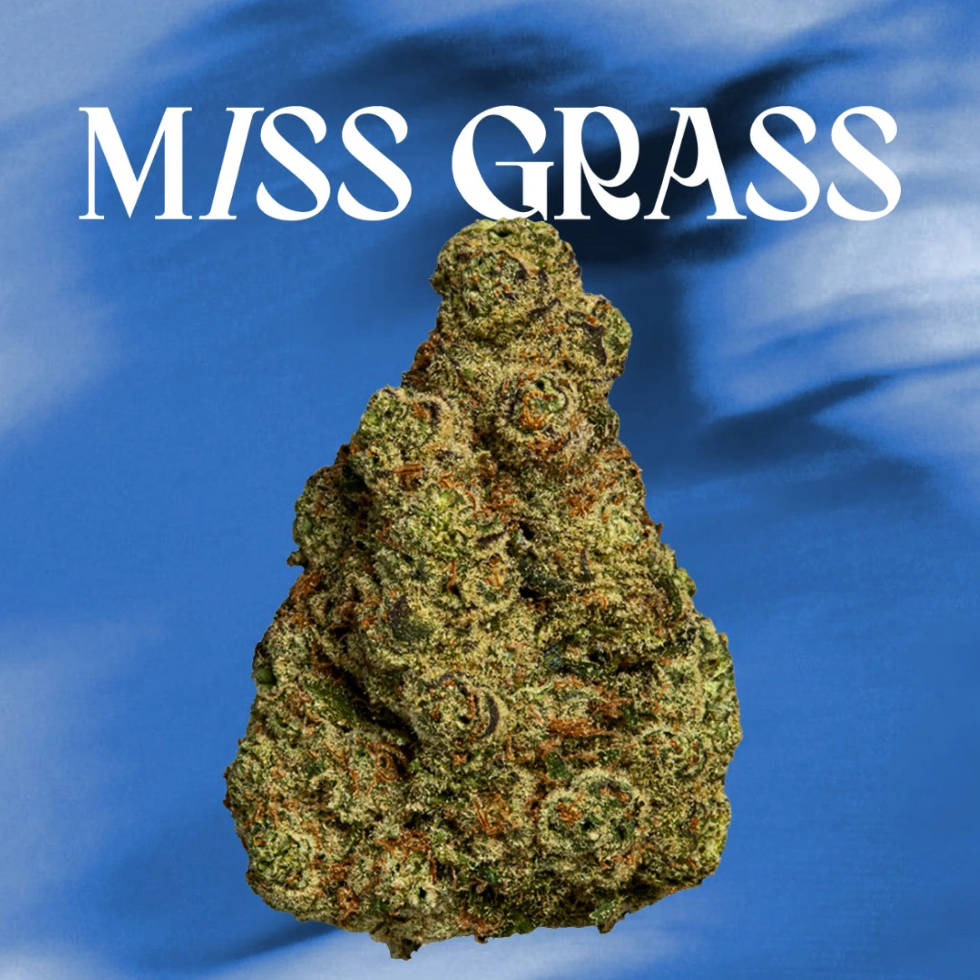 Miss Grass - OG GMO - Quiet Times - 3.5g 42144 Main Image