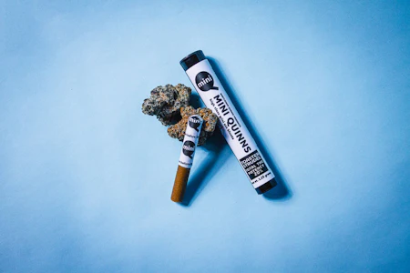 Gentleman Quinns - Gentleman Quinns - Mini Quinns - Blackberry Inferno - 1.25g