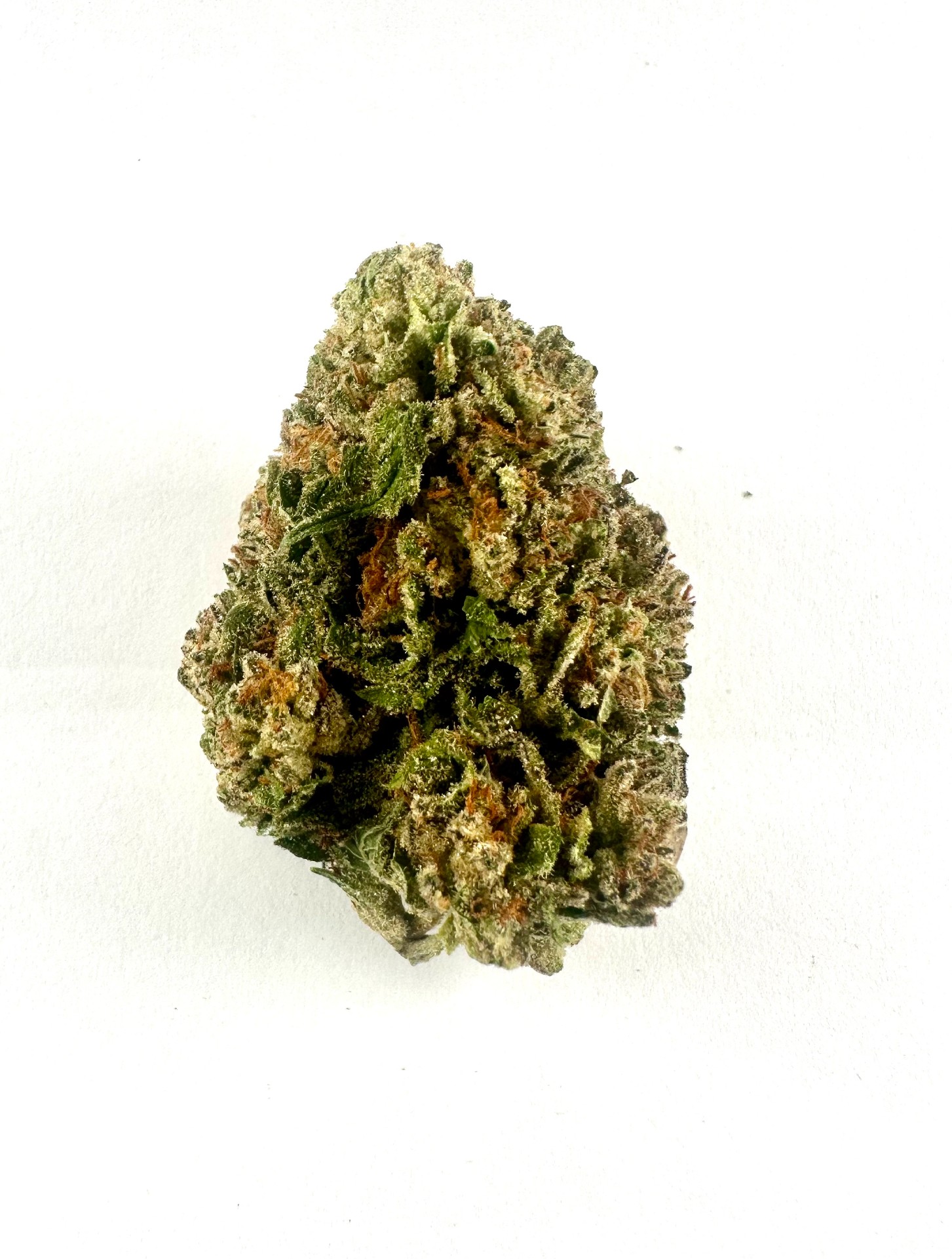 Cafe Racer (outdoor)