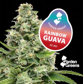 Garden Greens | Rainbow Guava | 14g