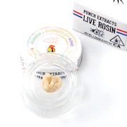 Rainbow Maple Tier 1 | 1g Rosin Badder | Punch Extracts