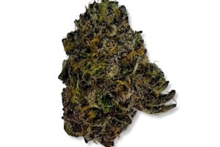 MOTOWN FARMS - MF | Rainbow Zangria