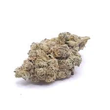 Pegasus Green - Buds - Rainbow Zoap Main Image