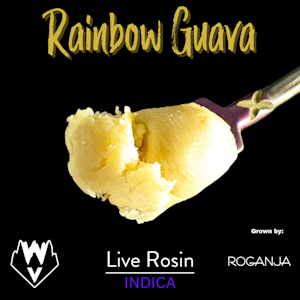 WILLAMETTE VALLEY ALCHEMY - Rainbow Guava, Live Rosin