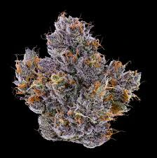 Fig Farms - Fig Farms - Rapper Weed Indoor Flower 3.5g Main Image