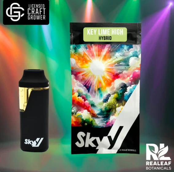 SKYY - Key Lime High Disposable Vape - 1g Main Image