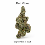 GW - Red Vines