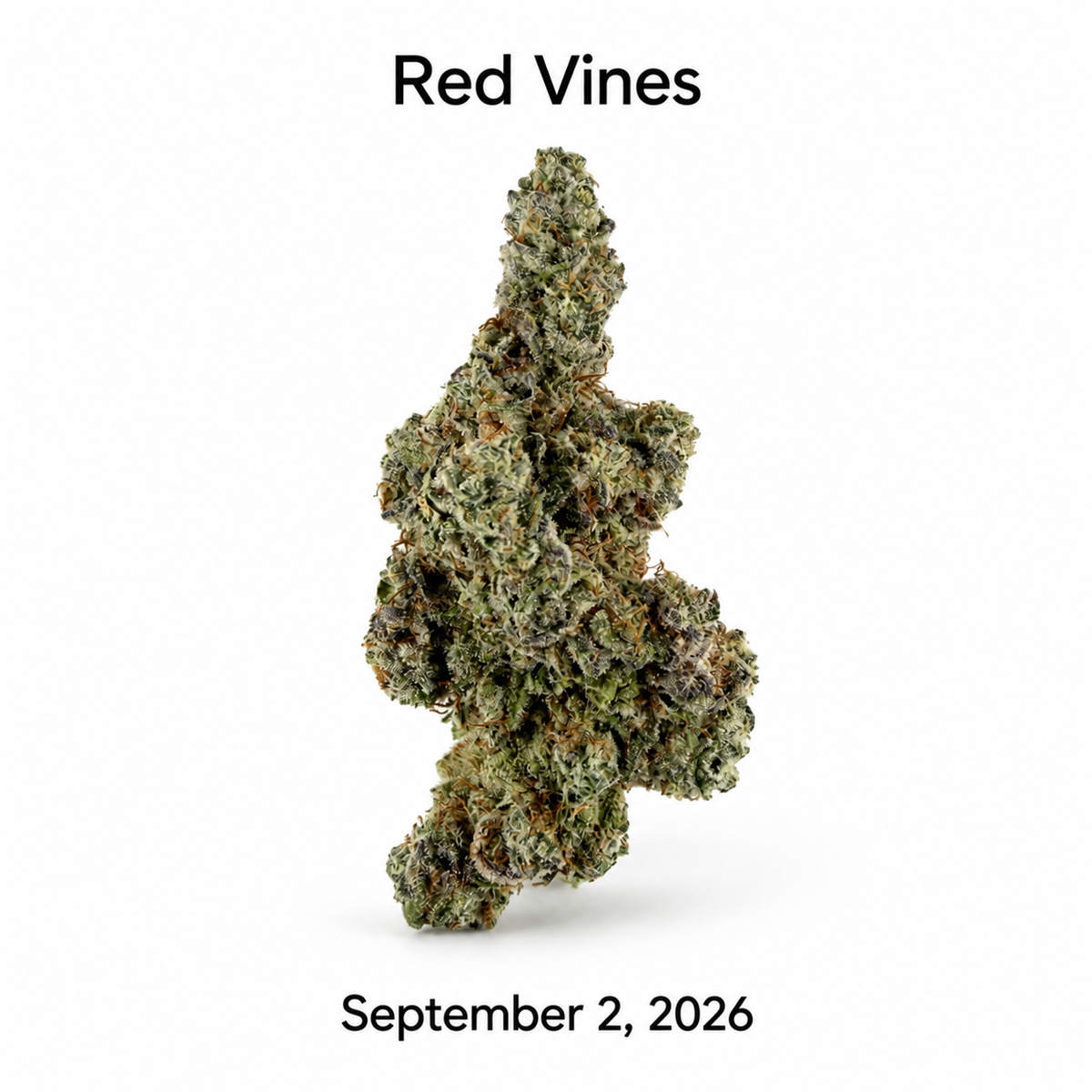 Red Vines flower