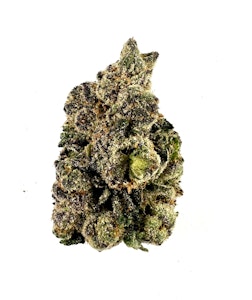 PROHIBITION 37 - P37 - Red Runtz