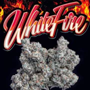 Jungle Boys - Flower - White Flower 43 - 3.5g