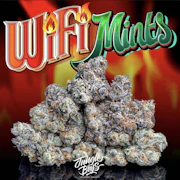 Jungle Boys - Flower - Wifi Mints - 3.5g
