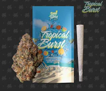 Seed Junky - Preroll - Tropical Burst - 4pk