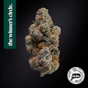 Niche | Bluephoria | 3.5g