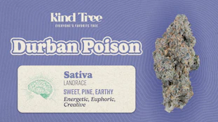 Kind Tree | Durban Poison | 3.5g 