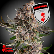 Garden Greens | Headshot | 3.5g