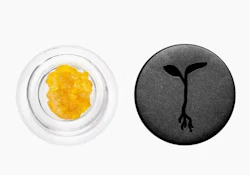 PB Souffle Live Resin