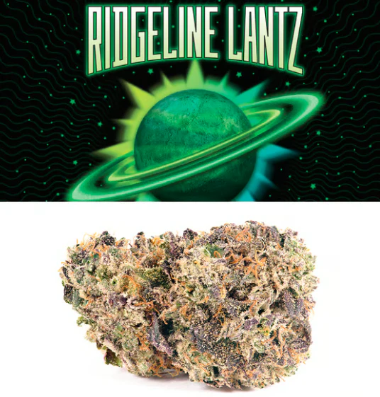 Cookies - Ridgeline Lantz Flower - 7g Main Image