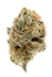 Product Preview Image 1