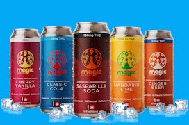 Magic Number Berry Seltzer 100mg