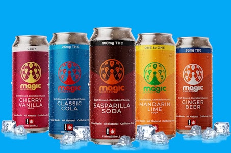 Magic Number - Magic Number Berry Seltzer 100mg