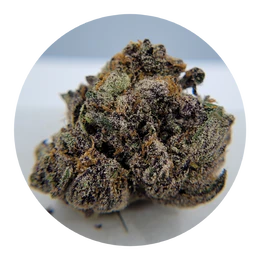 The Hempire Collective - THC - Rainbow Kotton Kandy Flower Main Image
