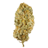 Jack Herer Greenhouse Flower 1/8 Oz | Platinum Reserve | Dried Flower