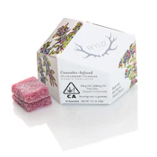 WYLD Huckleberry Hybrid Gummies 100mg