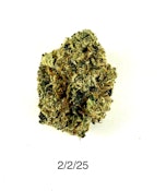 P37 - Rocket Fuel