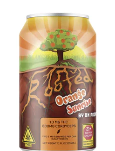 On Point - Rooted | Orange Sunrise | 10mg THC Beverage Main Image